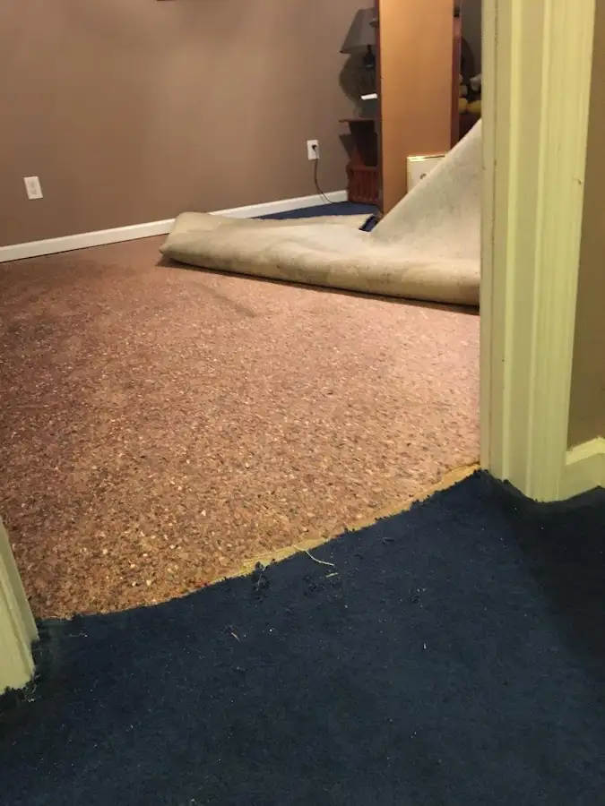 Carpet pad removal revealing water damage during Drying & Dehumidification in Groves