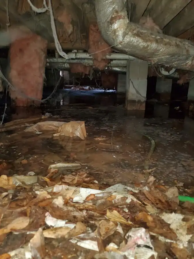 Crawl space flood assessment for Leak Detection & Repair in Groves